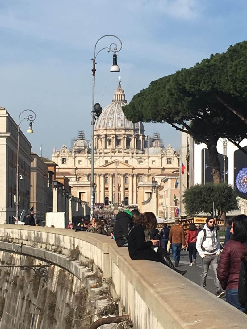 Domum Vaticani - Genel