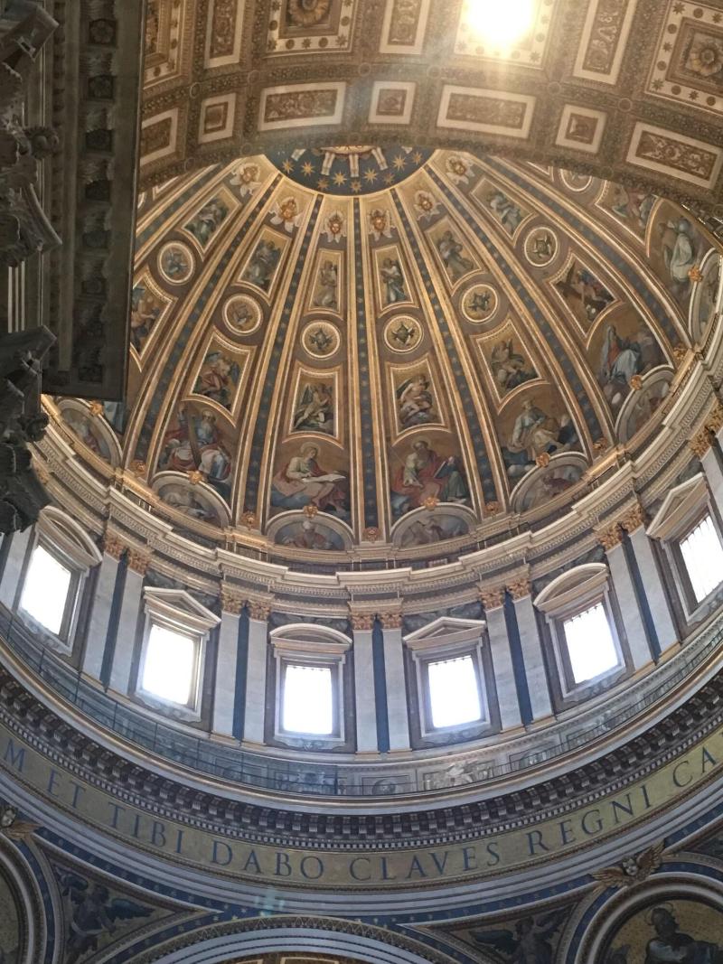 Domum Vaticani - Genel