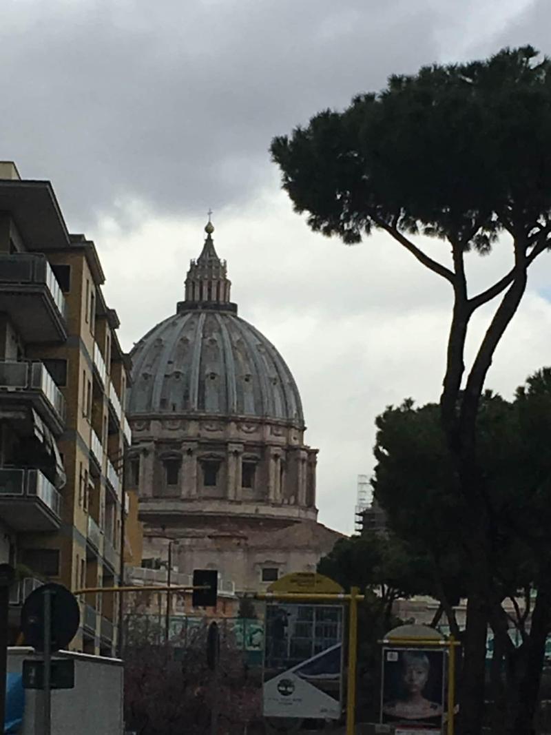 Domum Vaticani - Genel