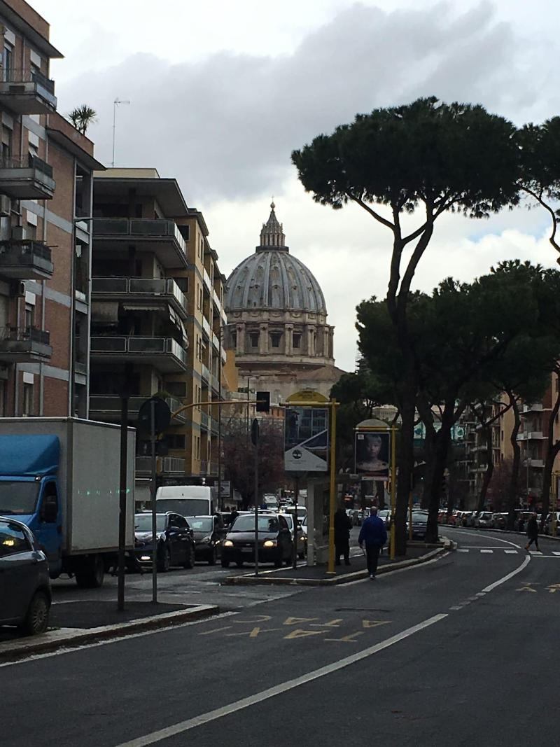 Domum Vaticani - Genel