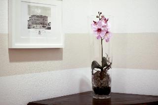 Casa Isolani Piazza Maggiore fotoÄŸrafÄ±
