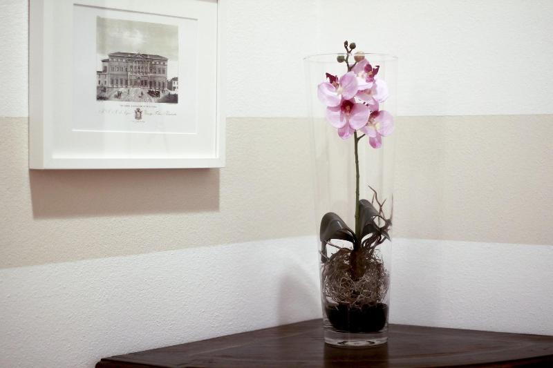 Casa Isolani Piazza Maggiore - Lobi