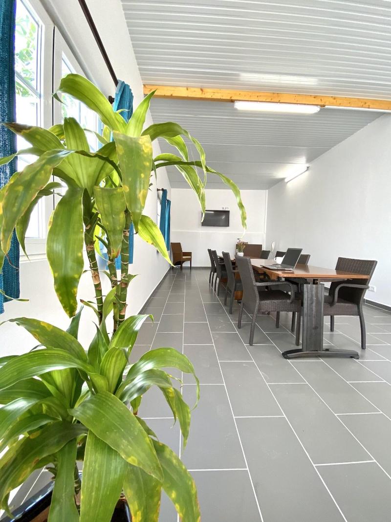 Sagres Sun Stay - Surf Camp & Hostel - Aktivite