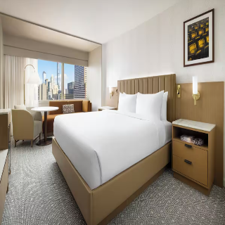 Hyatt Regency Times Square fotoÄŸrafÄ±