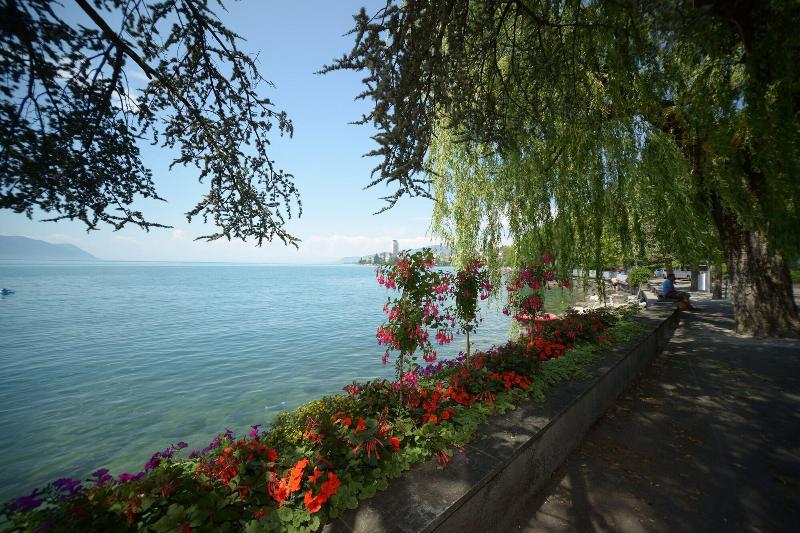 Youth Hostel Montreux - Genel
