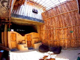 The Rabbit Tree - Hostel fotoÄŸrafÄ±