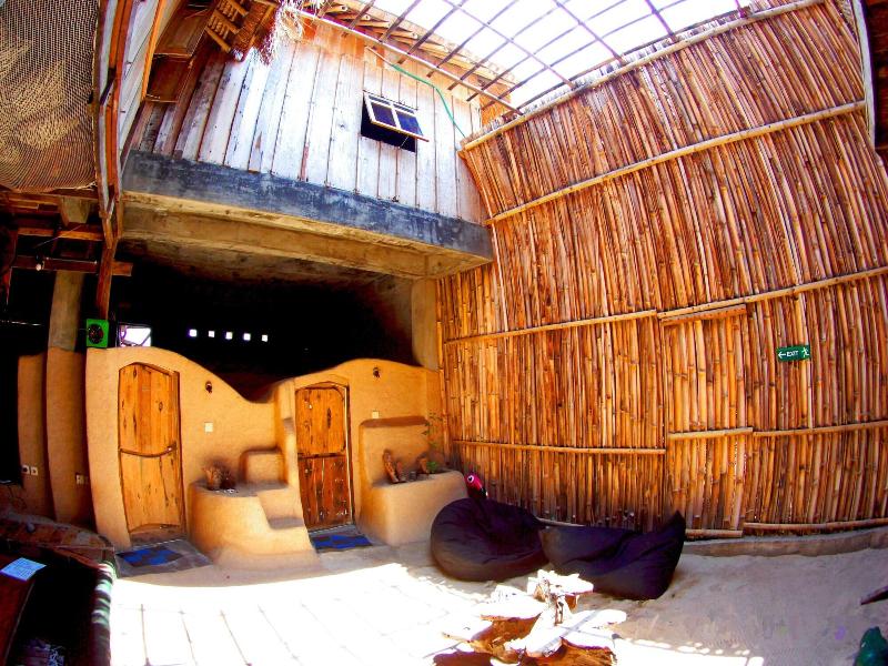 The Rabbit Tree - Hostel - Aktivite