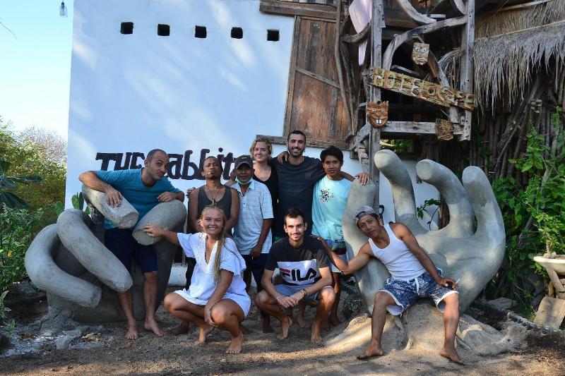 The Rabbit Tree - Hostel - Genel