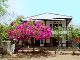 The Rabbit Tree - Hostel fotoÄŸrafÄ±