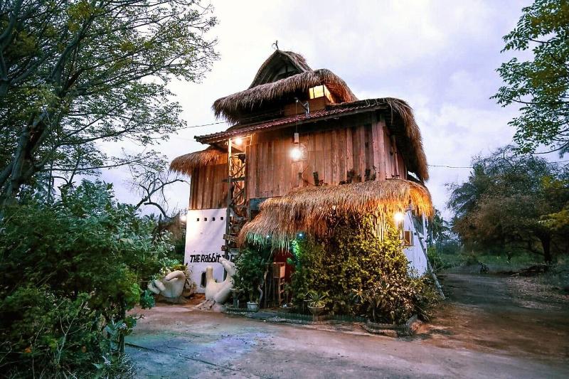 The Rabbit Tree - Hostel - Genel