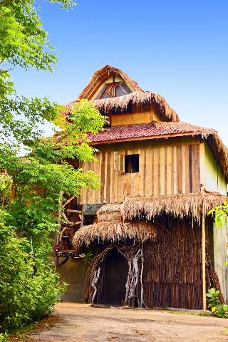The Rabbit Tree - Hostel fotoÄŸrafÄ±