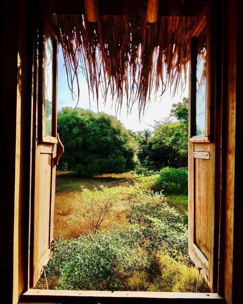 The Rabbit Tree - Hostel - Genel