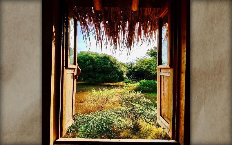 The Rabbit Tree - Hostel - Genel