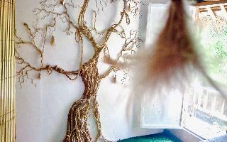 The Rabbit Tree - Hostel fotoÄŸrafÄ±