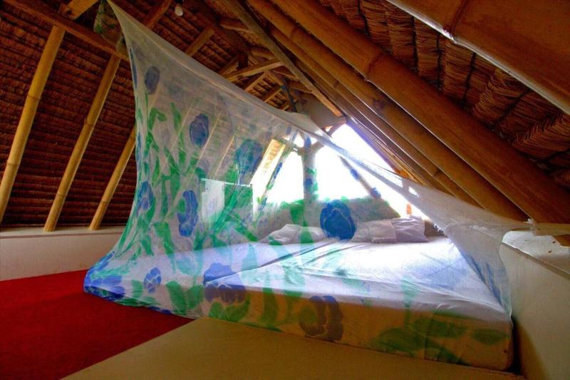The Rabbit Tree - Hostel - Oda
