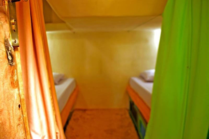 The Rabbit Tree - Hostel - Oda