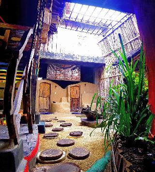 The Rabbit Tree - Hostel fotoÄŸrafÄ±