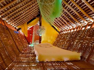 The Rabbit Tree - Hostel fotoÄŸrafÄ±