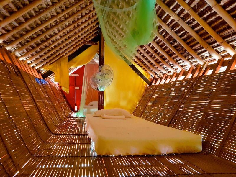 The Rabbit Tree - Hostel - Oda