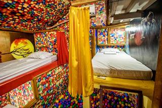 The Rabbit Tree - Hostel fotoÄŸrafÄ±