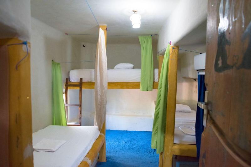 The Rabbit Tree - Hostel - Oda