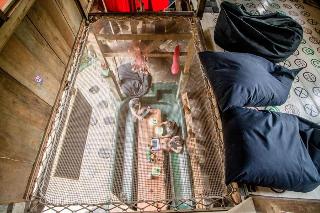 The Rabbit Tree - Hostel fotoÄŸrafÄ±