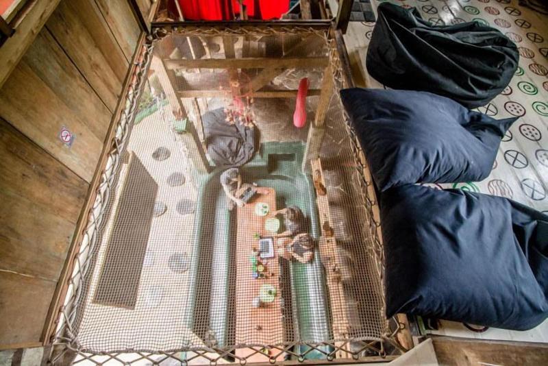 The Rabbit Tree - Hostel - Oda