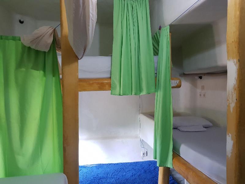 The Rabbit Tree - Hostel - Oda