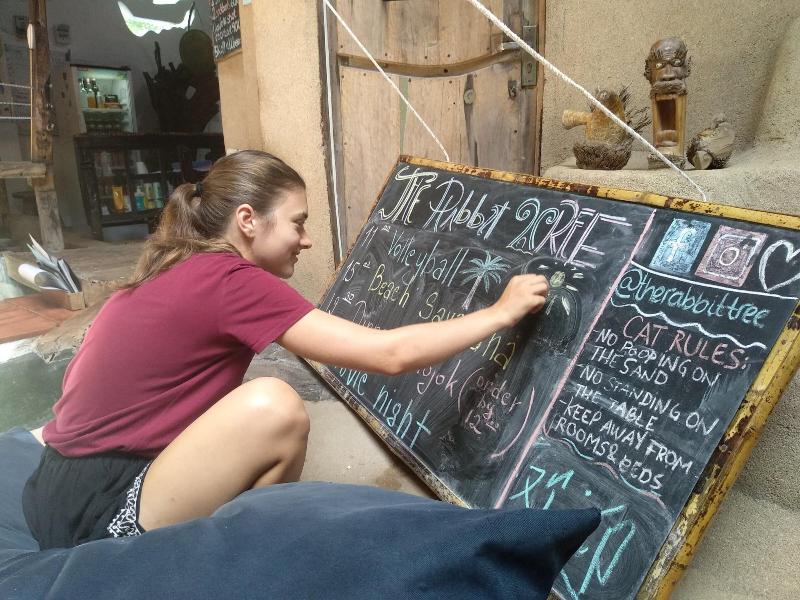 The Rabbit Tree - Hostel - Oda