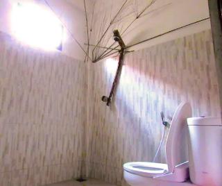 The Rabbit Tree - Hostel fotoÄŸrafÄ±