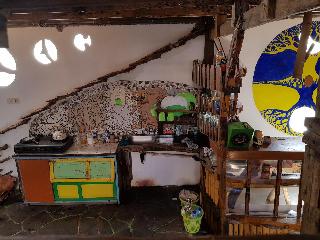 The Rabbit Tree - Hostel fotoÄŸrafÄ±