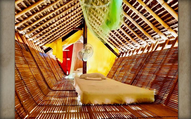 The Rabbit Tree - Hostel - Oda