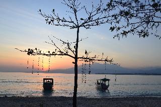 The Rabbit Tree - Hostel fotoÄŸrafÄ±