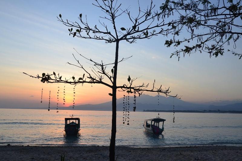 The Rabbit Tree - Hostel - Plaj