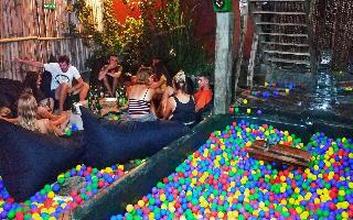 The Rabbit Tree - Hostel fotoÄŸrafÄ±