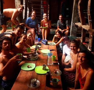 The Rabbit Tree - Hostel fotoÄŸrafÄ±