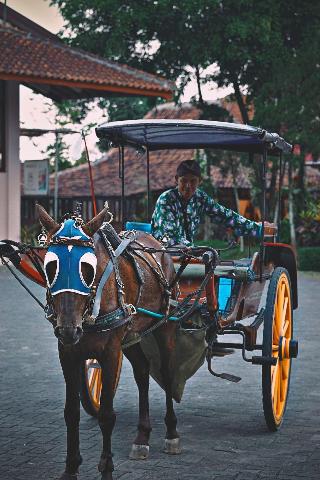 Borobudur Bed & Breakfast fotoÄŸrafÄ±