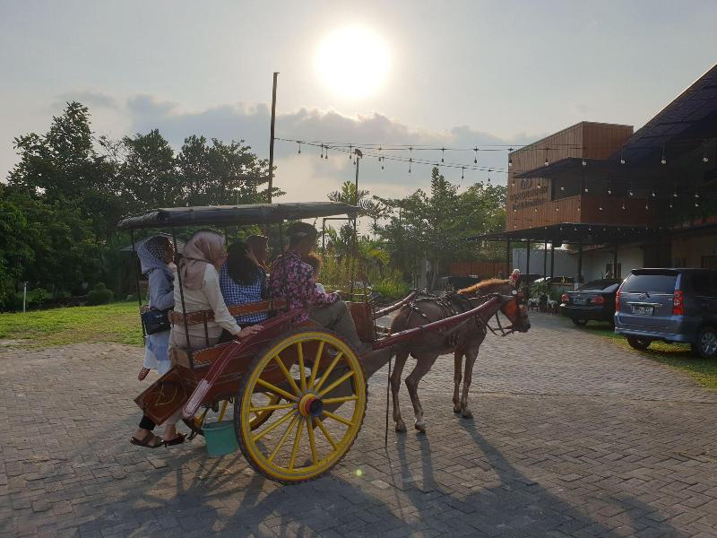 Borobudur Bed & Breakfast - Aktivite