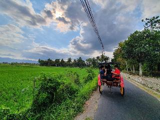 Borobudur Bed & Breakfast fotoÄŸrafÄ±