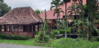 Borobudur Bed & Breakfast fotoÄŸrafÄ±