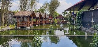 Borobudur Bed & Breakfast fotoÄŸrafÄ±