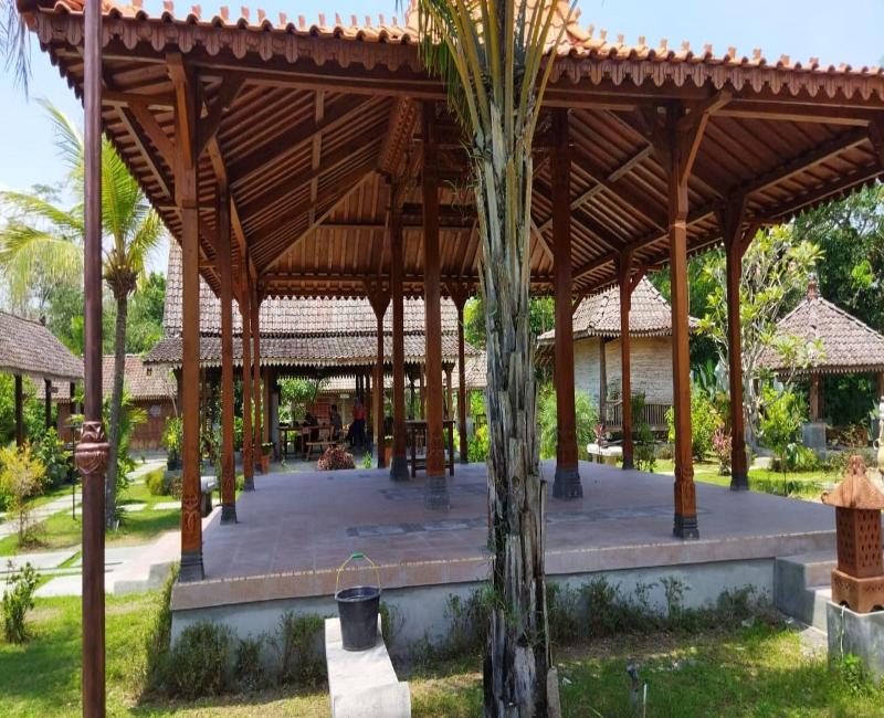 Borobudur Bed & Breakfast - Teras