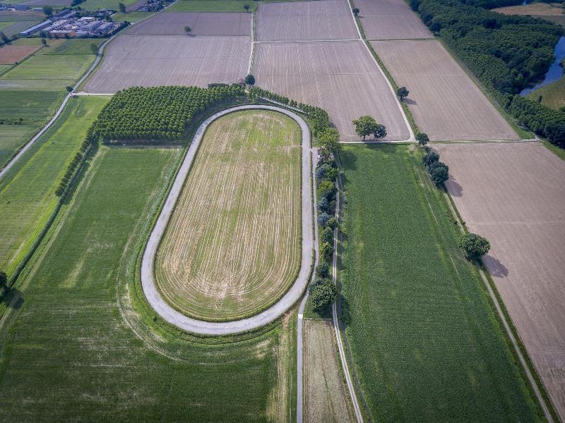 Agriturismo Relais Tenuta Il Cigno - Aktivite