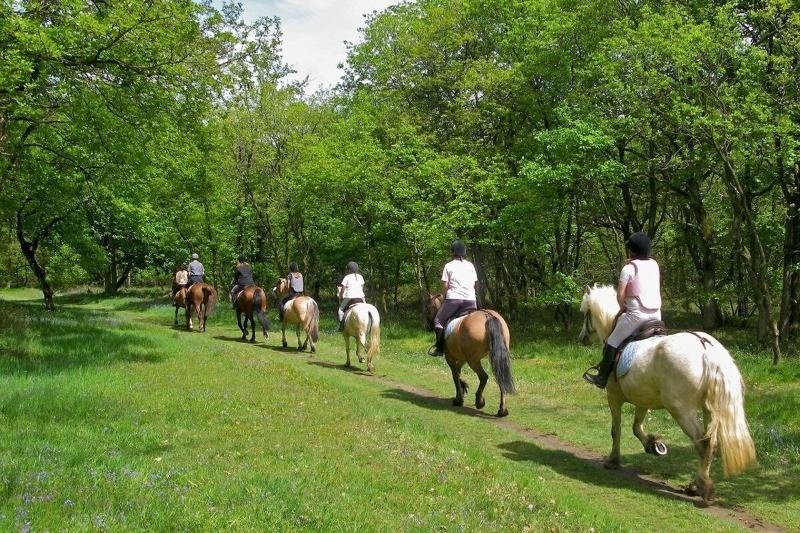 Agriturismo Relais Tenuta Il Cigno - Aktivite