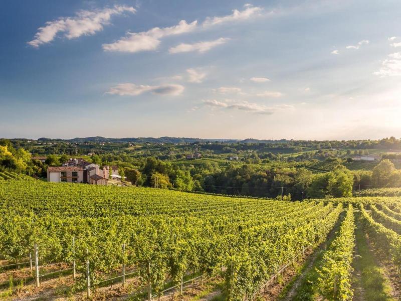 Tenuta Sant'Eufemia - Genel