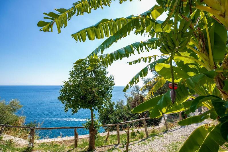 Villa Santa Maria - Luxury Country House - Genel