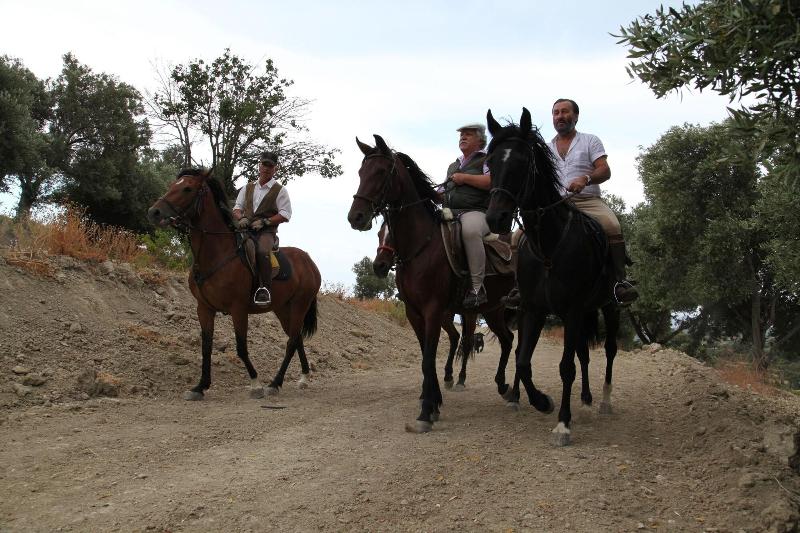 Agriturismo Val Di Noto - Aktivite