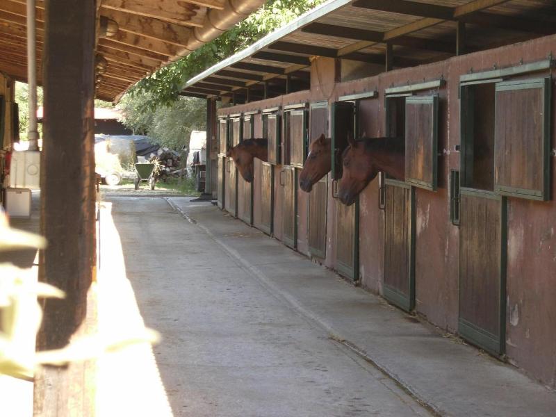 Relais Magione Papale - Genel