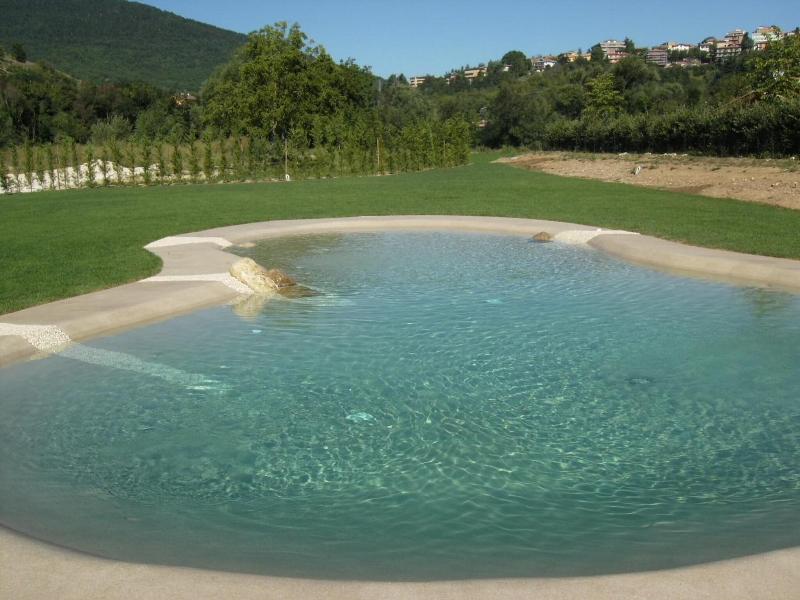 Relais Magione Papale - Havuz