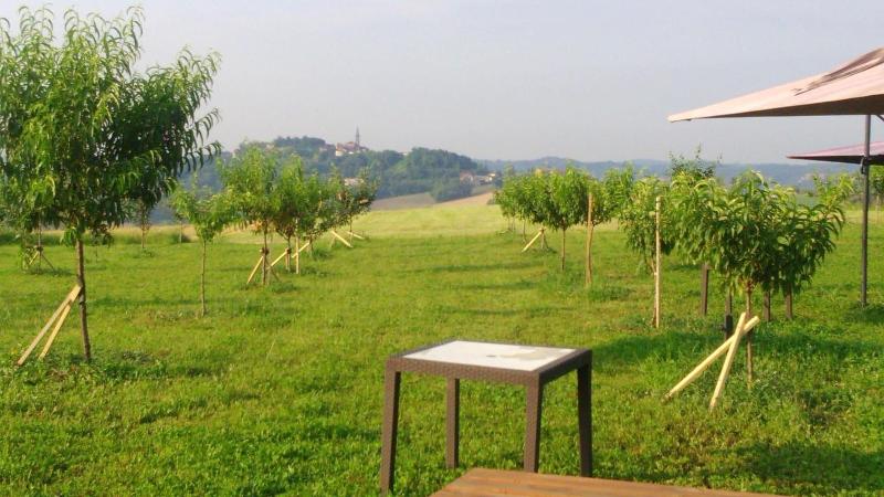 Il Balcone Sul Monferrato - Genel